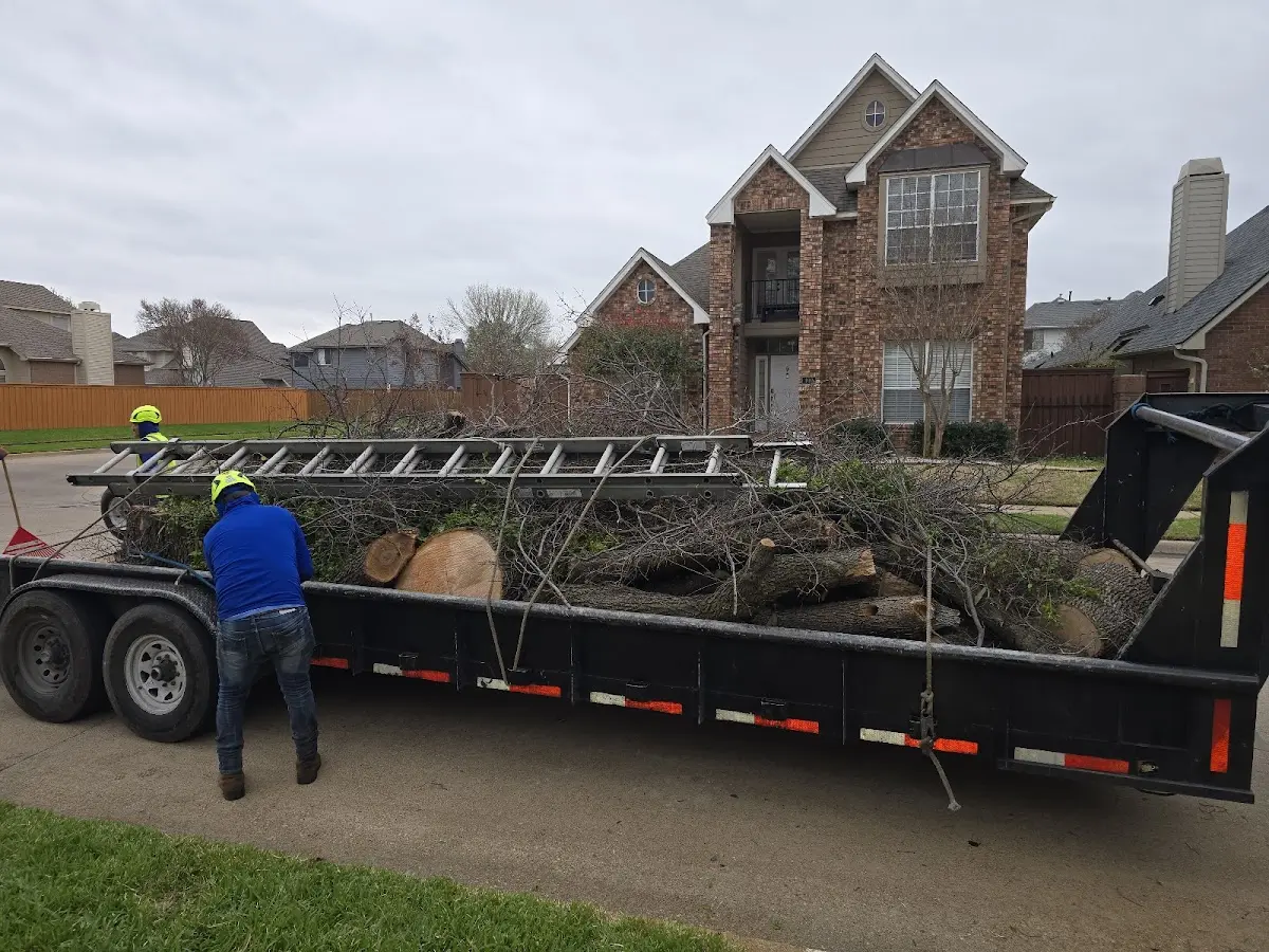 Expert Tree Pest Control with proper safety equipment in Chalkyitsik
